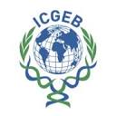 International Centre for Genetic Engineering and Biotechnology