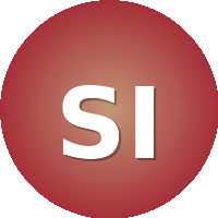 Schiller International University