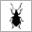 Curculio Institute