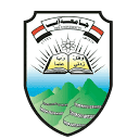 Ibb University