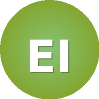 Einstein Institute of Science