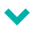 Vlaamse Interuniversitaire Raad