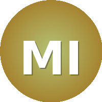 MEF International School