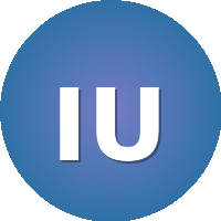 Ipek University
