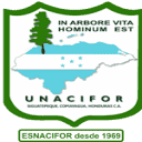 Universidad Nacional de Ciencias Forestales