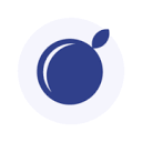 Blueberry Academy