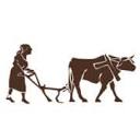 Institute for Poverty, Land and Agrarian Studies