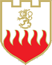Emergency Services College