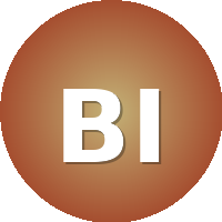 British Institute of Technology and E-commerce