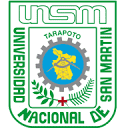 Universidad Nacional de San Martín