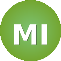 Misr International University