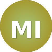 Mexico International University