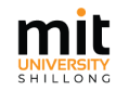 University of Technology and Management