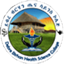 Debere Berhan Health Science College