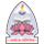 Dr. BMN College of Home Science