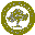 SRM University Sikkim