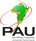 Pan African University Institute for Basic Sciences, Technology and Innovation