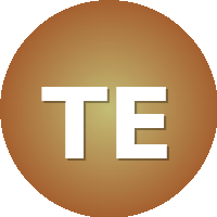 Tischner European University
