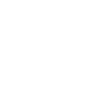 Vistula University