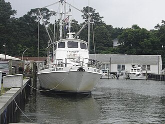 Virginia Institute of Marine Science
