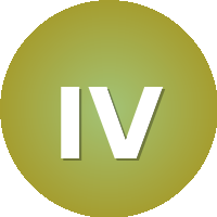 International Vision University