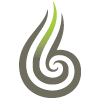 Te Rito Maioha Early Childhood New Zealand