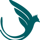 Universidad Internacional de Investigación México