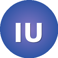 International University MITSO