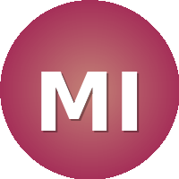 Mediterranean Institute of Management