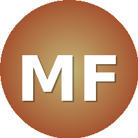 Moscow Financial and Economic Institute